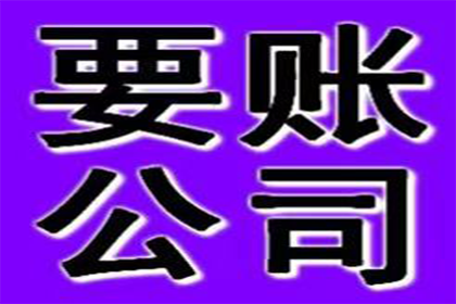 紫金追帐公司